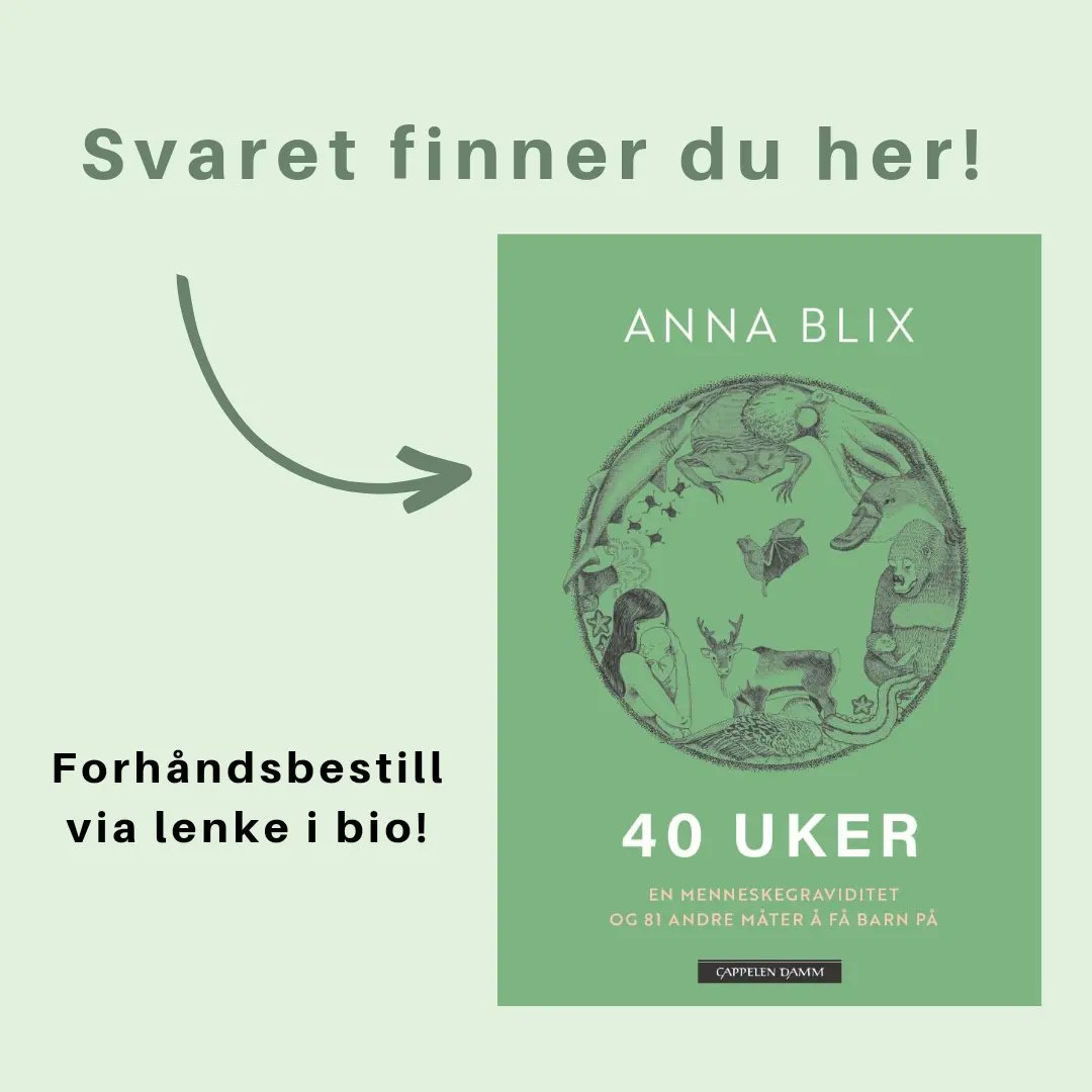 Anna Blix tweet media