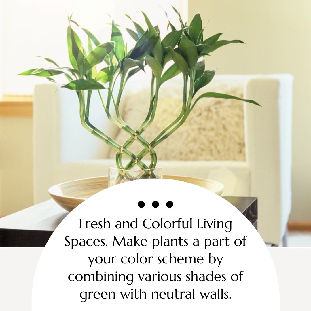 bbibakis's tweet image. Get Inspired for Your Spring Home Makeover! 
Check out the Latest Home Design Trends 🌸🛋️ 
-
-
#HomeDesignTrends #SpringHomeDecor #InteriorInspiration #SwipeLeftForMore #FindYourStyle #buywithbri #nwirealtor #nwirealestate