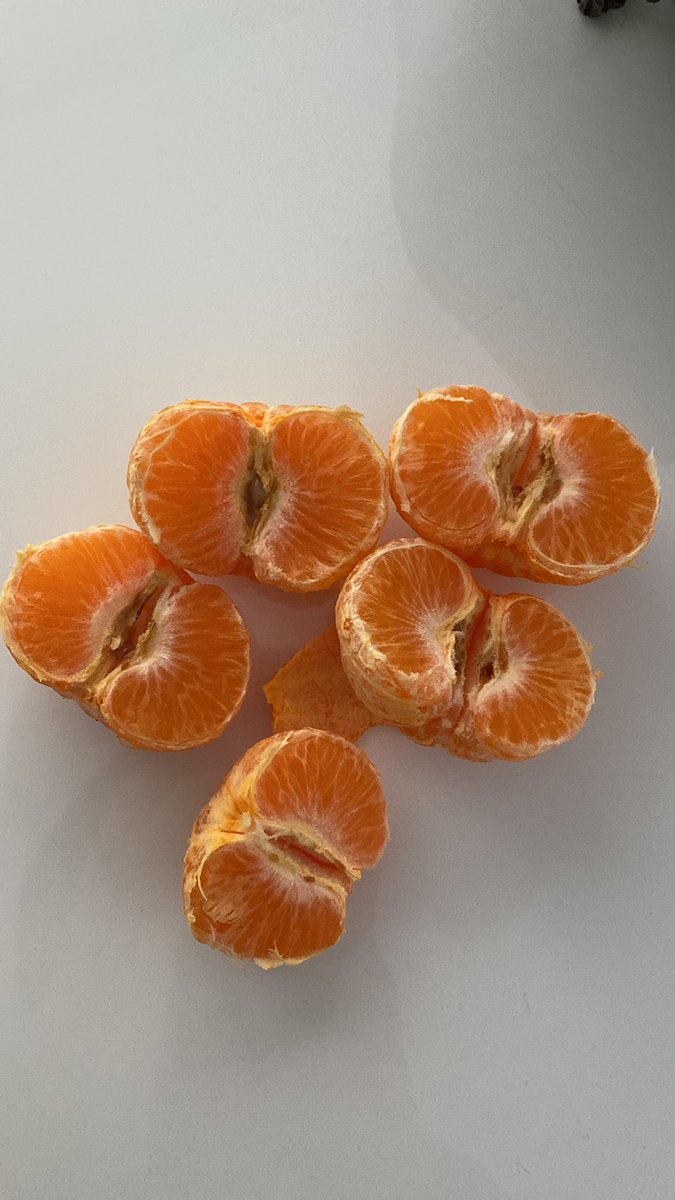 Bu sene her aldığım mandalinada böyle hastalıklı bir durum var. Dışları gayet sağlıklı ve ince kabukluyken, içlerinde böyle salyalı bir yapı var. Ne olduğunu bilen var mı? #tarım