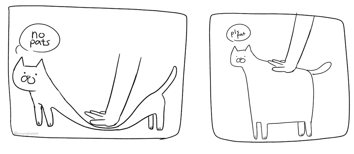 cat physics 
