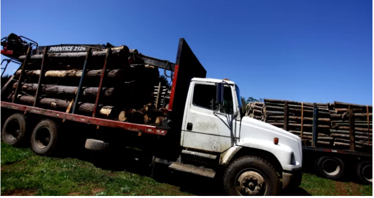 Curioso: Aumentan las detenciones de notorios empresarios por robo de madera, baja la violencia en la macrozona sur y de pronto los medios dejan de hablar de "terrorismo" mapuche...