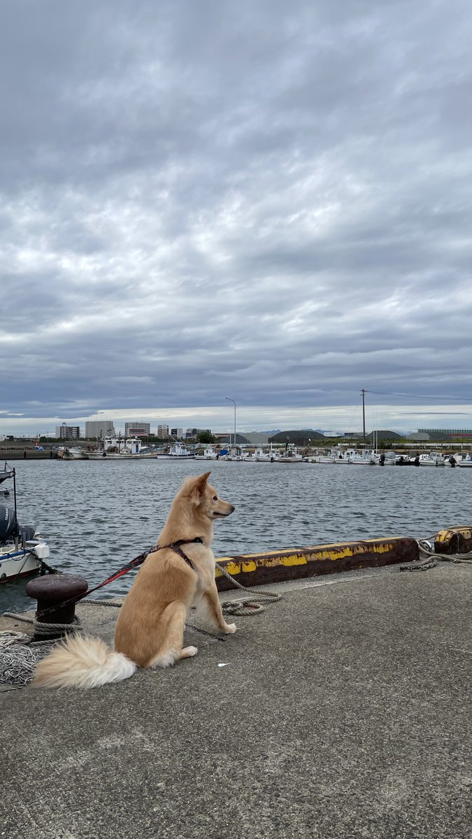 海が俺を呼んでいる