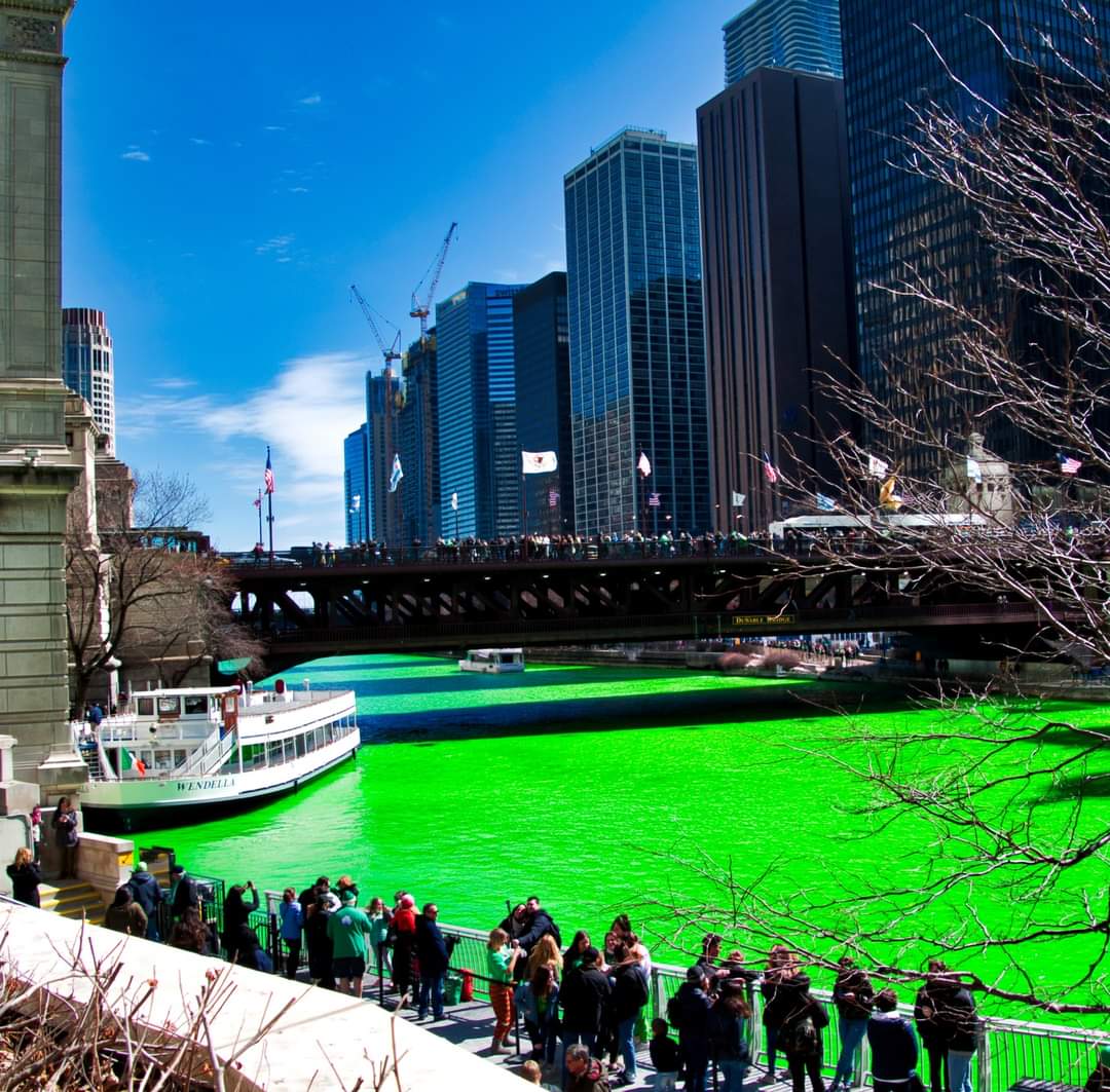 Chicago doesn’t wait until the 17th of March to celebrate St. Patrick’s Day - Chicago River dyeing and downtown parade took place yesterday. The green-dyed river has become quite the hit on recent St Patrick’s Days. But it’s a tradition that’s lasted more than six decades.