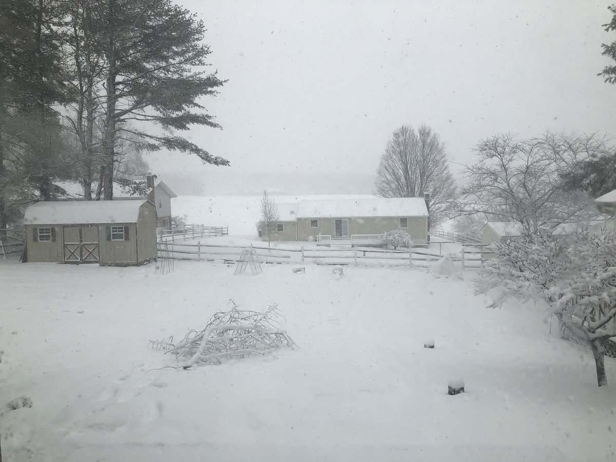 Jack rudden on Twitter: