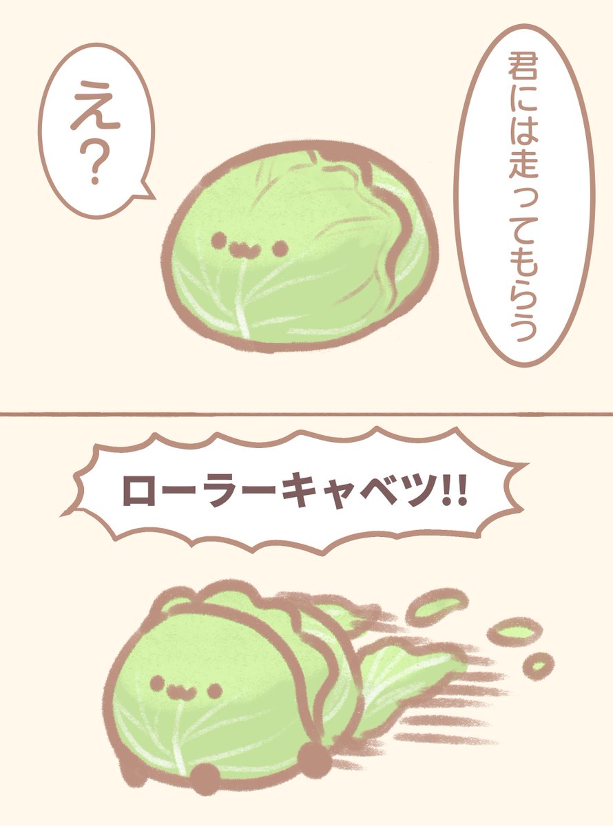 ロールされなかったキャベツ 