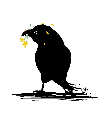 「Bird 」|작가 두도のイラスト