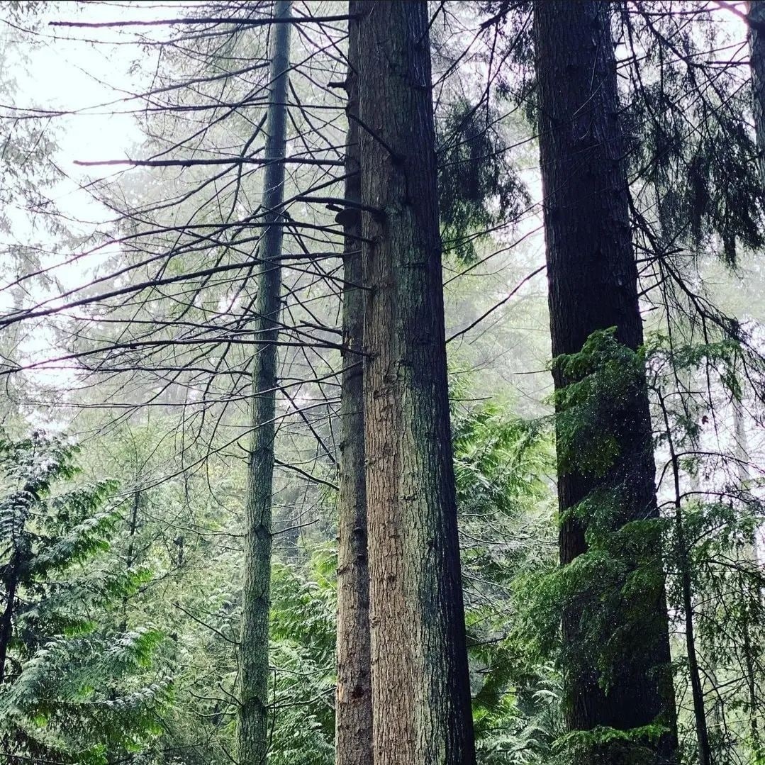 james0z3's tweet image. Nature