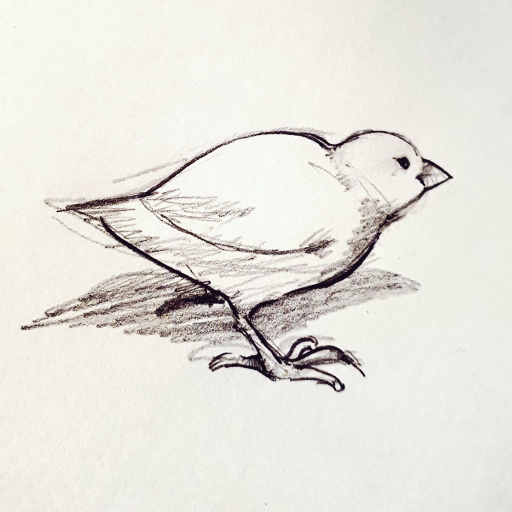 「Bird 」|작가 두도のイラスト