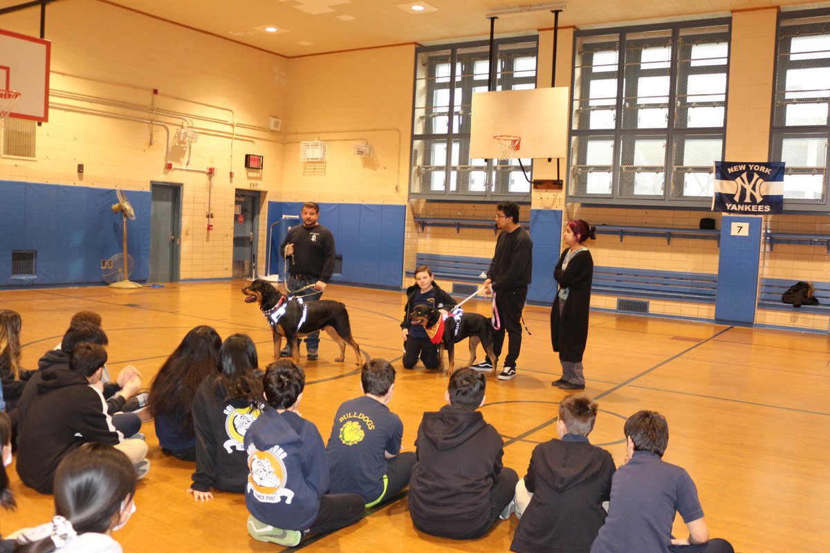 BELL Academy concludes Civics For All week by hosting our Annual Career Day.  Promoting college and career readiness in our young leaders. #BELLStrong! #NYCSchools #NYCSchoolsD25 #BELLAcademy