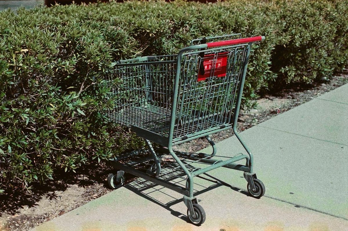 rodolfotografo's tweet photo. “Shopping carts”
📷 #nikonf100
🎞️ @kodak #proimage100 (expired)
🔭#nikon50mm18eseries
#shoppincart #photography #shoppingcartsinthewild #exploreauburnca #filmphotography #filmcamera #manuallens #selfdevelop #bajaphotographer #cinestillcs41 #norcal #expiredfilm https://t.co/mWJMt7Jhkx