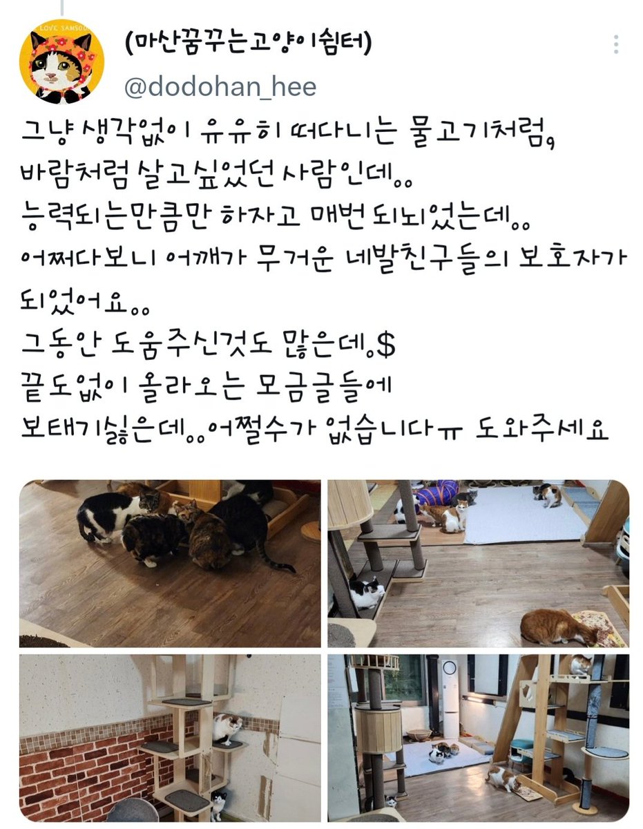 cwd1105gmailco1's tweet photo. 마산 꿈꾸는고양이쉼터에 후원 도움부탁드립니다
호더에게 구조해서 그책임을오롯이 혼자 짊어지고 있습니다..도움부탁드립니다
카카오뱅크 박*희
3333041369204 https://t.co/lDN078TvKj