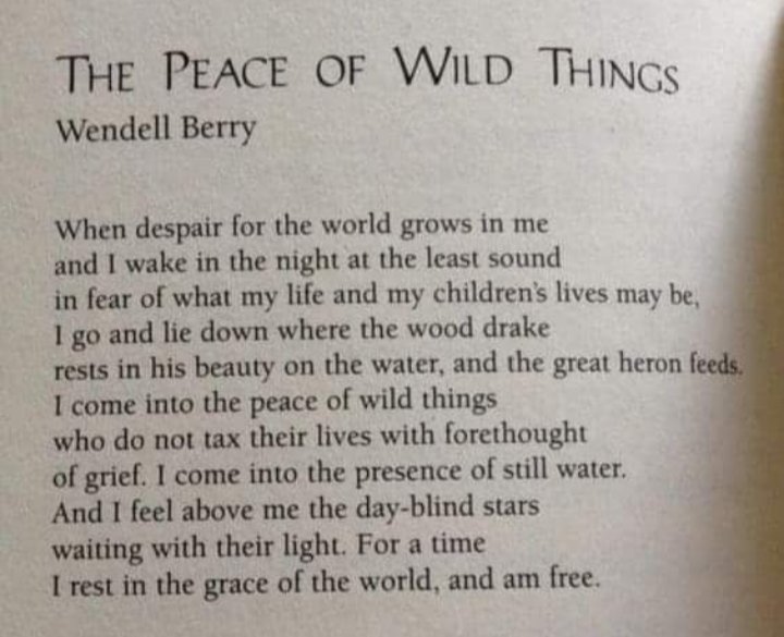 #WendellBerry