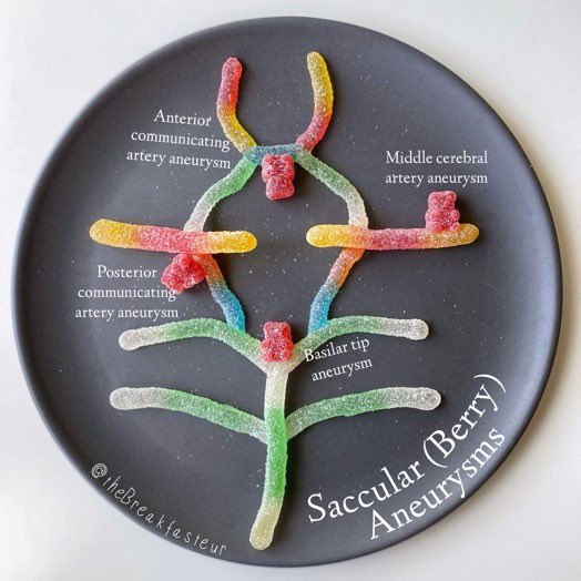 Oren Gottfried, MD tweet media