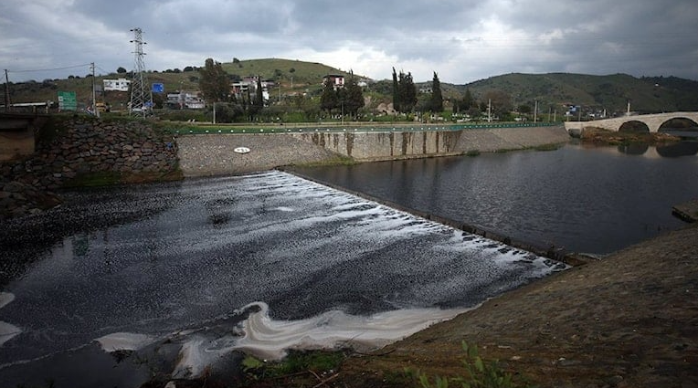 Çine Çayı’nda toplu balık ölümleri oltacidergisi.com/2023/03/12/cin…