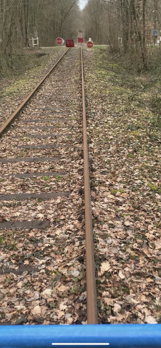 Aujourd’hui, vis ma vie de <a href="/BB27000/">BB27000</a> …😅😅
J’ ai réussi à gérer la signalisation sans relire tous ses threads😜😜😜