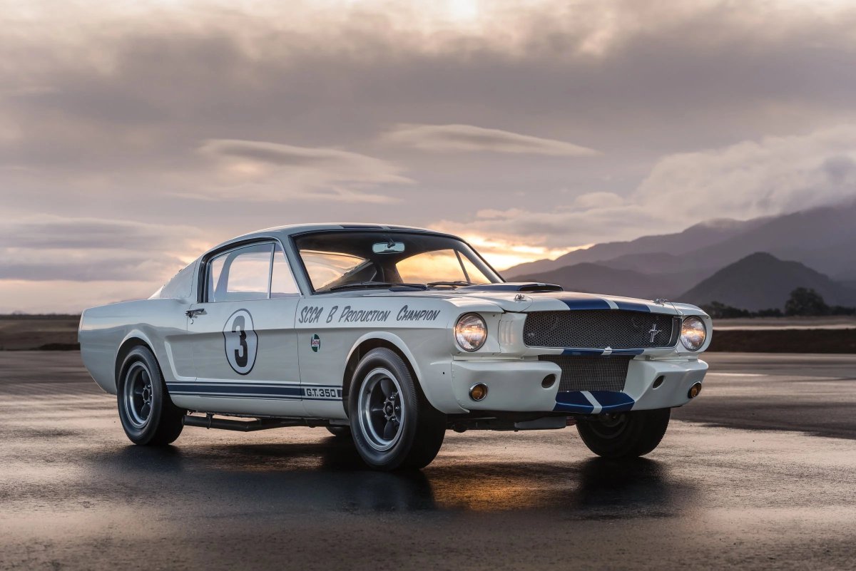 #ShelbySunday