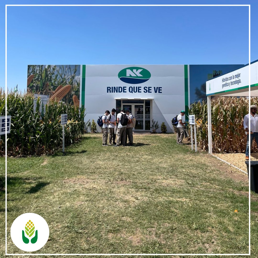 Grain_arg's tweet photo. 📅#Grain estuvo presente en @Expoagrocom visitando el stand de @NKSemillas
🌽Pudimos ver los nuevos híbridos #NK870VIP3 y #NK855VIP3
👉El Servicio Técnico nos contó novedades del #sistemaNK que permiten ajustar mejor las recomendaciones de densidad y fertilización.
#agro https://t.co/72voGKBzQx