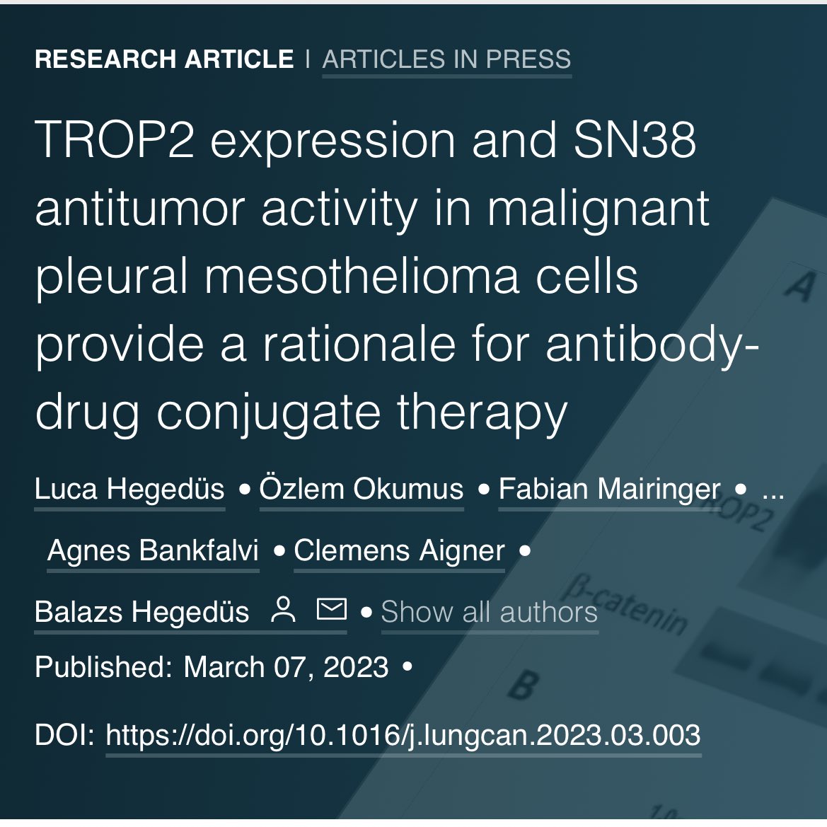 Lung Cancer Journal (@lungcajournal) on Twitter photo TROP2 expression and SN38 antitumor activity in malignant pleural #mesothelioma cells provide a rationale for antibody-drug conjugate therapy 
#LCMS #meso 
lungcancerjournal.info/article/S0169-… TROP2 expression and SN38 antitumor activity in malignant pleural #mesothelioma cells provide a rationale for antibody-drug conjugate therapy 
#LCMS #meso 
lungcancerjournal.info/article/S0169-…