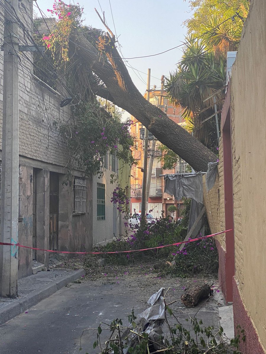 Misasi79's tweet photo. Más de 15 horas sin luz en Cerrada Tonatzin, Col. Anáhuac II Secc. Ni @CFEmx @CFE_Contigo, ni @MHDEProtCivil han venido, no han trabajado en el árbol, ni en restablecer la luz.
Por favor, ya solucionen el problema. @AlcaldiaMHmx @mauriciotabe @SSC_CDMX https://t.co/k8JYZ3uszj