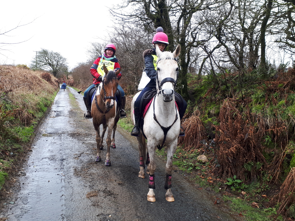 DavidstowInfo's tweet image. We just managed to beat the heavy rain back to base after a walk across #Davidstow Moor.

On the lane past the Upper Tremail #OnshoreWind turbine we met lots of people on horseback.

We can (belatedly!) report that they were riding in a 32 km @EnduranceGB event in aid of @CR_UK