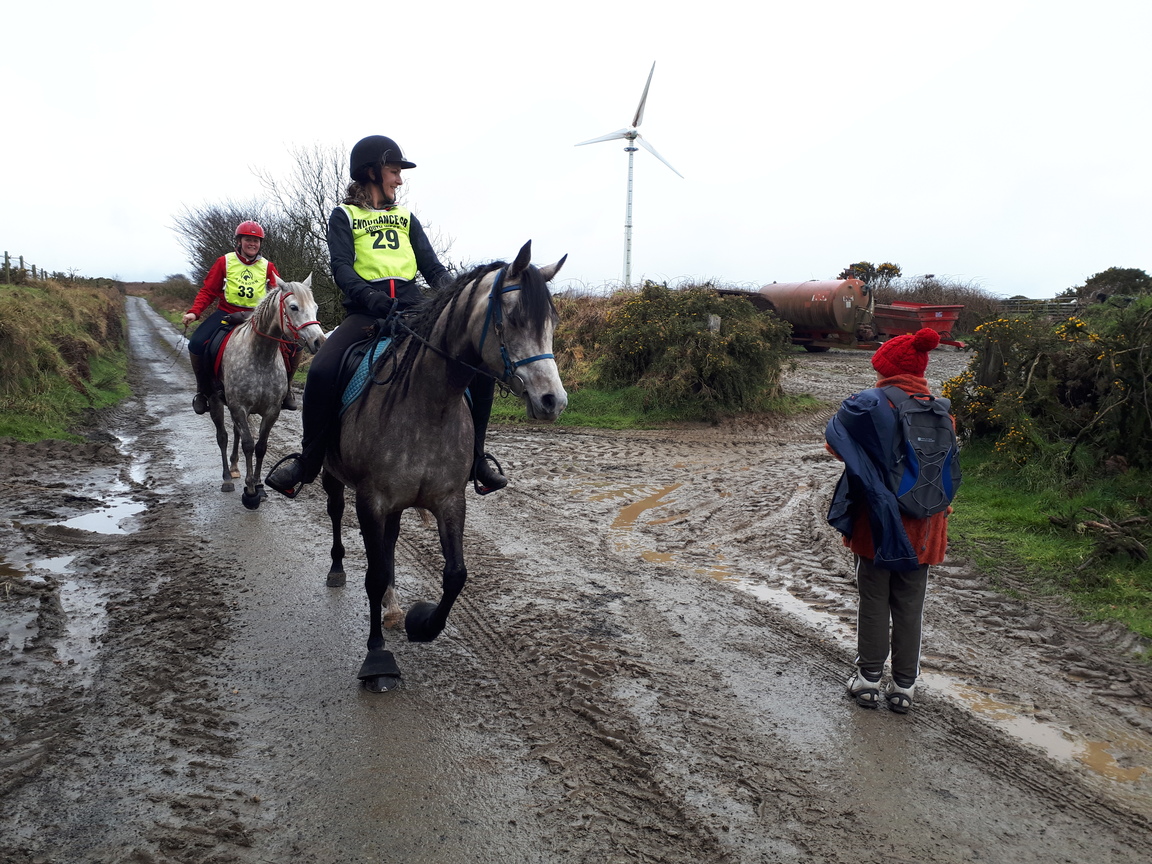DavidstowInfo's tweet image. We just managed to beat the heavy rain back to base after a walk across #Davidstow Moor.

On the lane past the Upper Tremail #OnshoreWind turbine we met lots of people on horseback.

We can (belatedly!) report that they were riding in a 32 km @EnduranceGB event in aid of @CR_UK