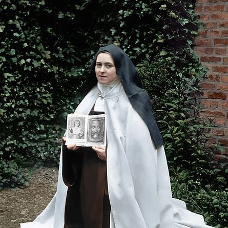 Thewarning9's tweet photo. "Sufferings gladly borne

for others 

convert more people than sermons."

St. Therese of Lisieux https://t.co/Fq7jC8bk1Q