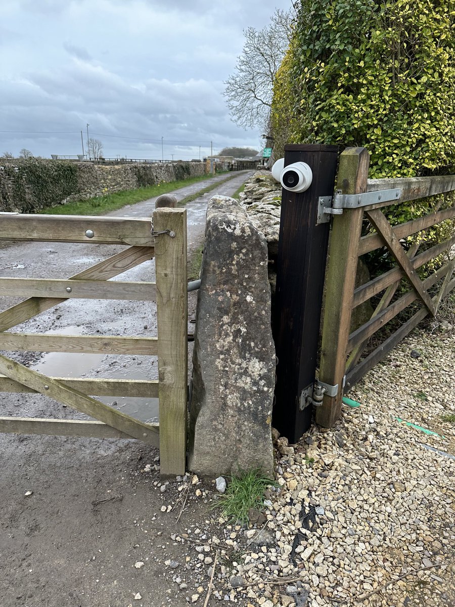 Marc Palmer tweet media