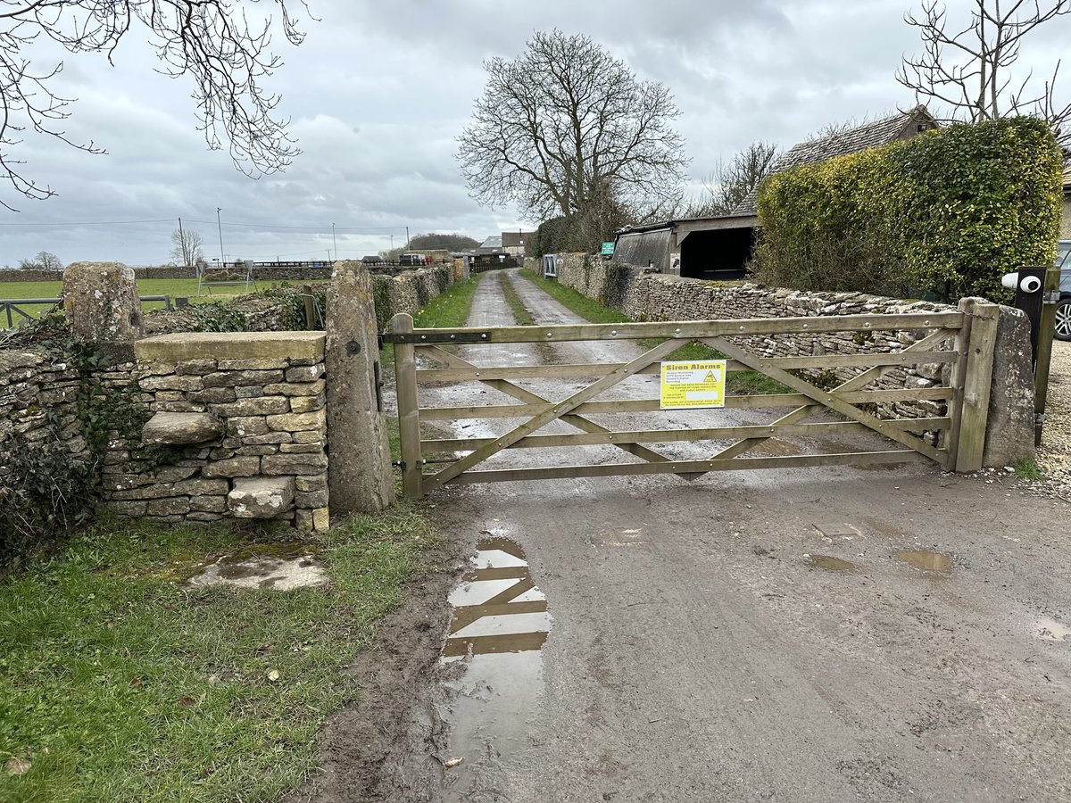 Marc Palmer tweet media