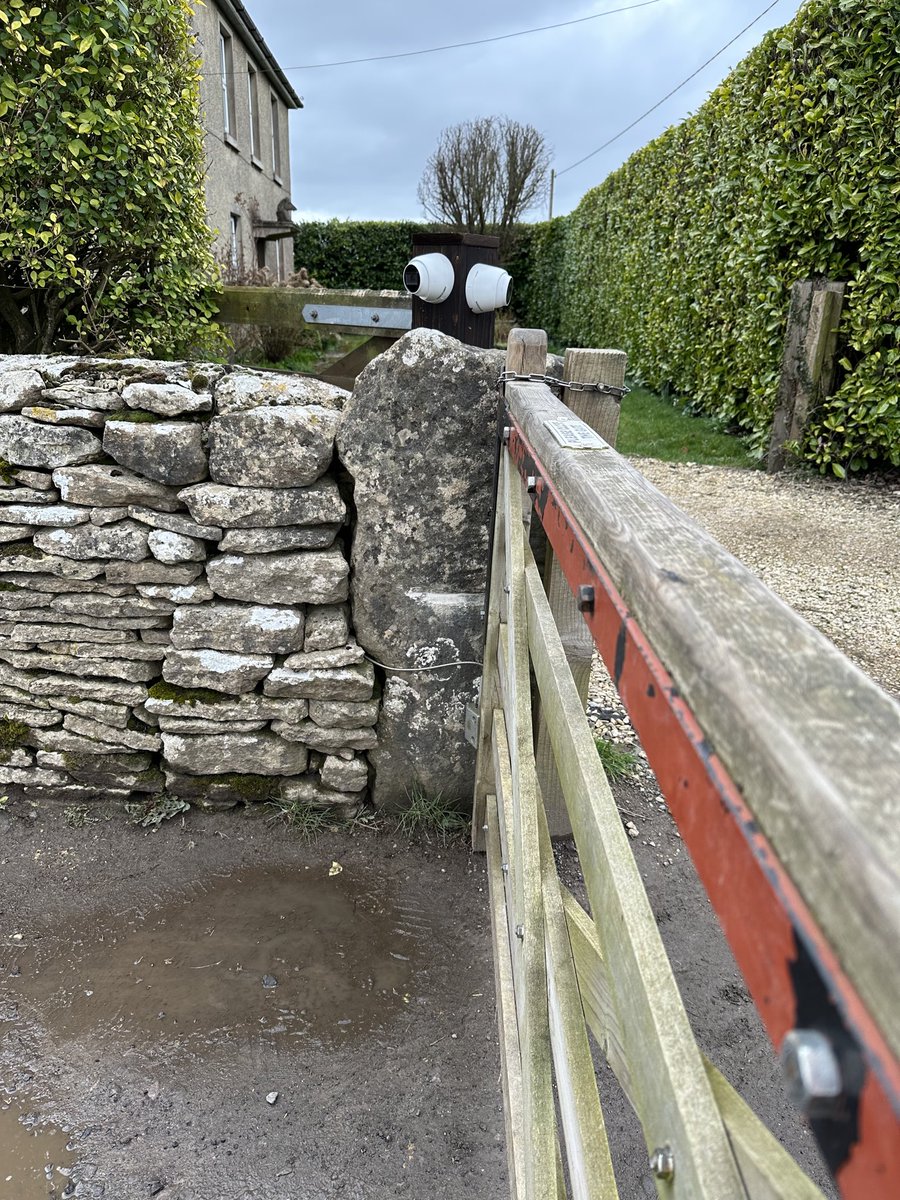 Marc Palmer tweet media