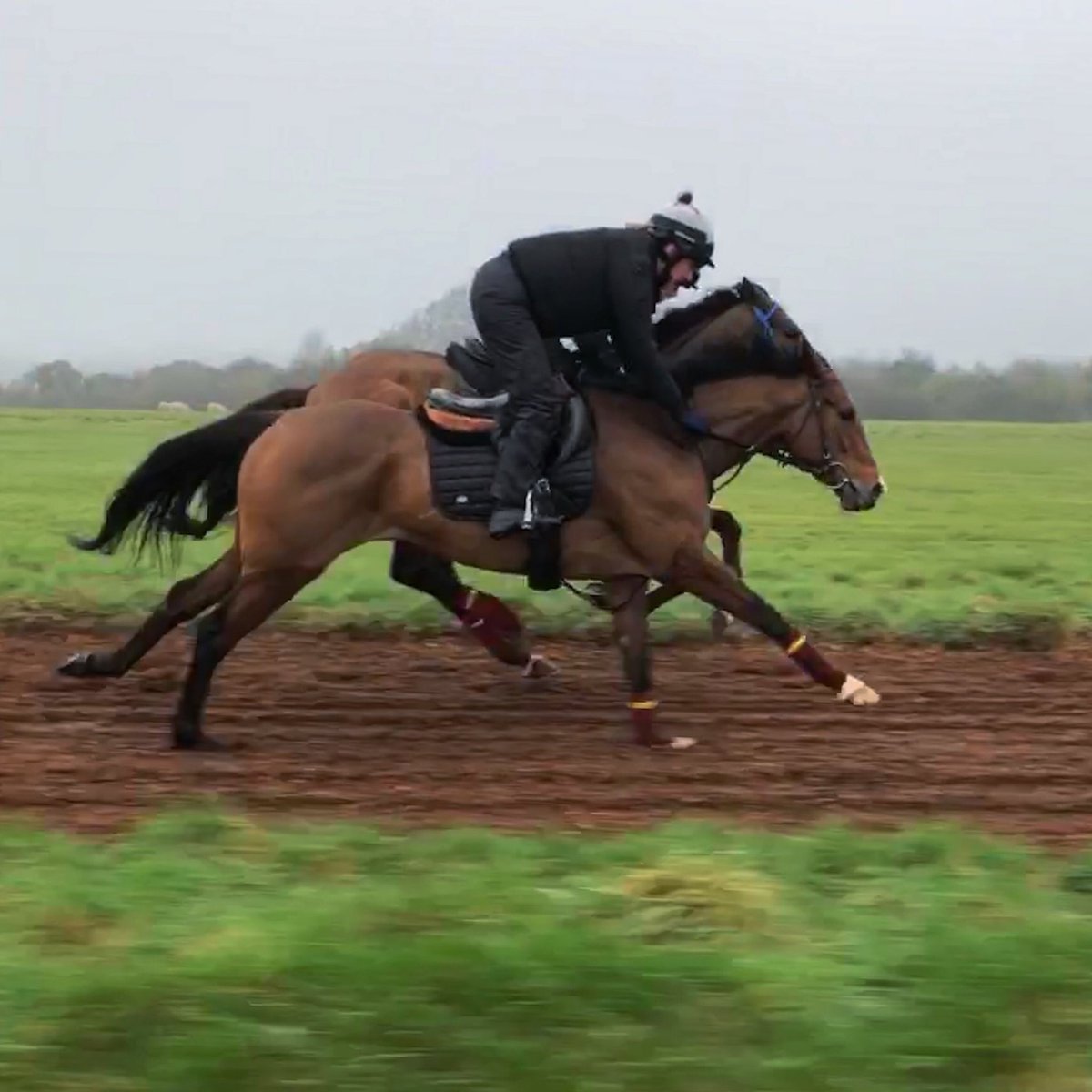 Kay’s Light runs <a href="/WarwickRaces/">Warwick Racecourse</a> this afternoon with <a href="/Sean_Houlihan1/">SeanHoulihan</a> onboard. Good luck to all our connections! #racing #nhreracingclub