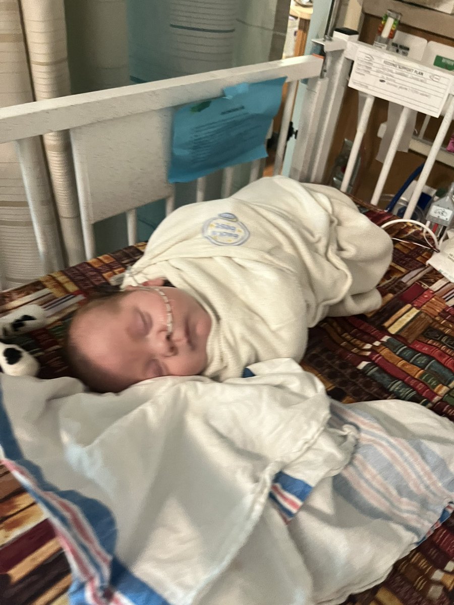 IslanderNation's tweet photo. Meds continued to help keep Leon’s temperature down last night. Another blood culture was ordered to see if the infection has subsided. Going to be a long day waiting for results. #PrayForLeon https://t.co/Xd9udQBDJG