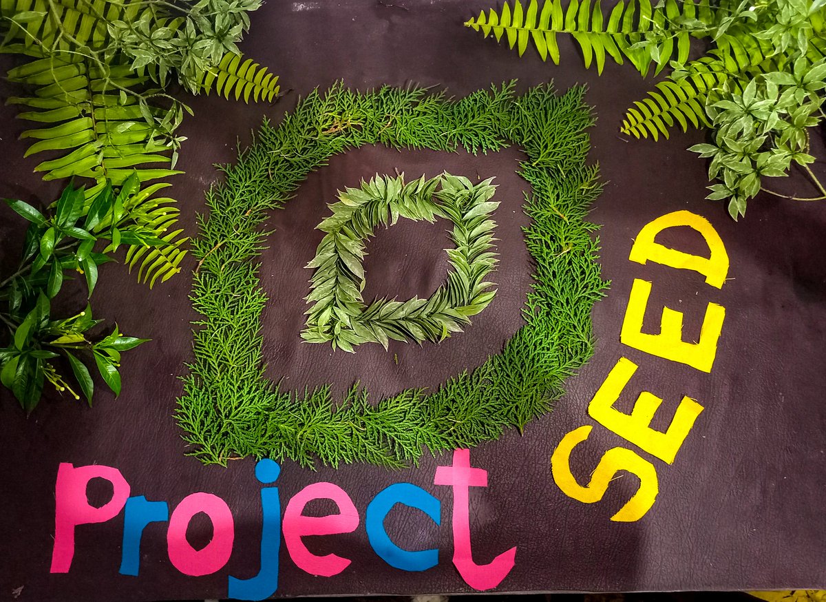 <a href="/projectseedarmy/">WAGMI 🚀💚🔃</a> <a href="/ProjectSeedGame/">Project SEED</a> <a href="/Mahomet9/">Moh E.B</a> <a href="/OutlandOdyssey/">Outland Odyssey</a> My natural  project seed logo 🌿☘️🍀🍁

#SEEDLOGO
#ProjectSeedToTheMoon