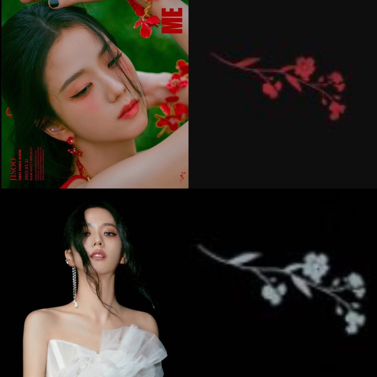 jichusworld's tweet photo. red and white flower ❤️🤍 https://t.co/92fb7BByf8
