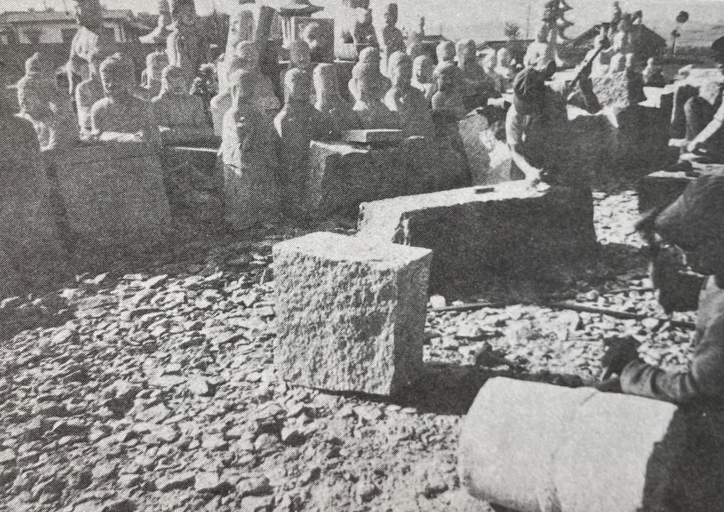 seoul kim tweet media