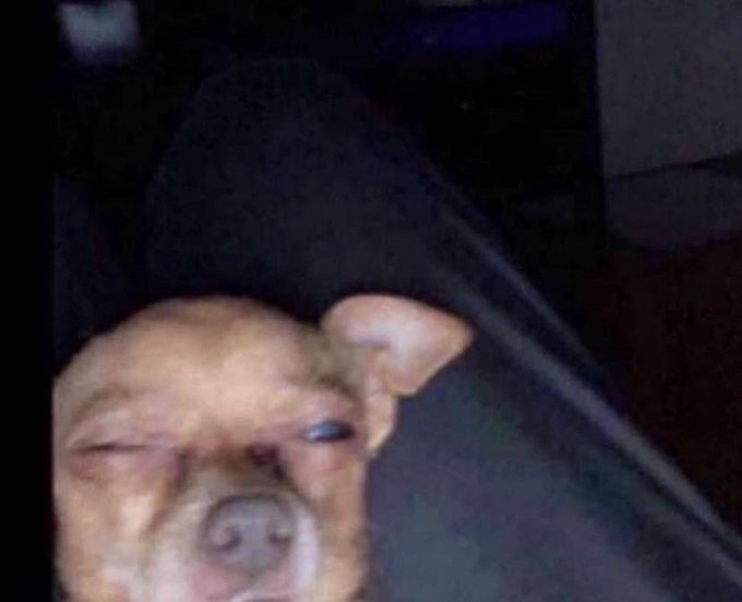 yo revisando mi teléfono para ver lo que me perdí mientras dormía