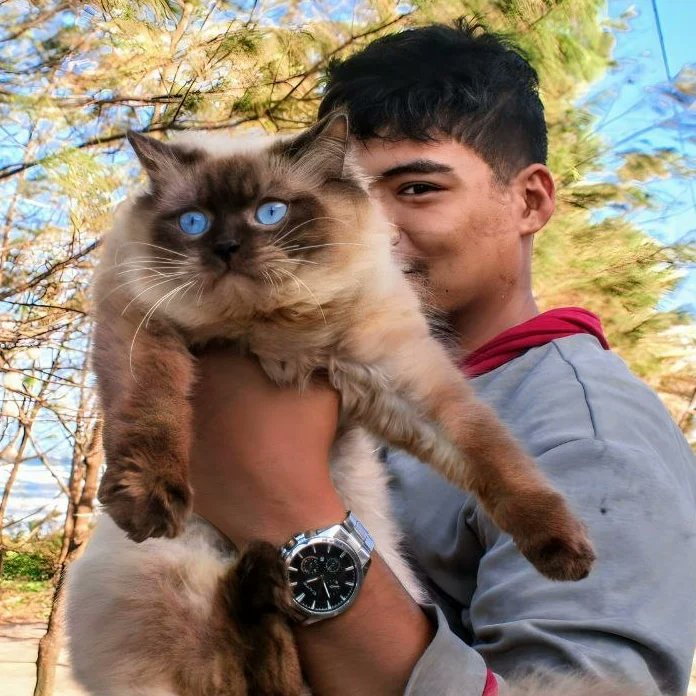 Zeeencoo's tweet photo. Y A N G 😸 https://t.co/w11C9O2ESa