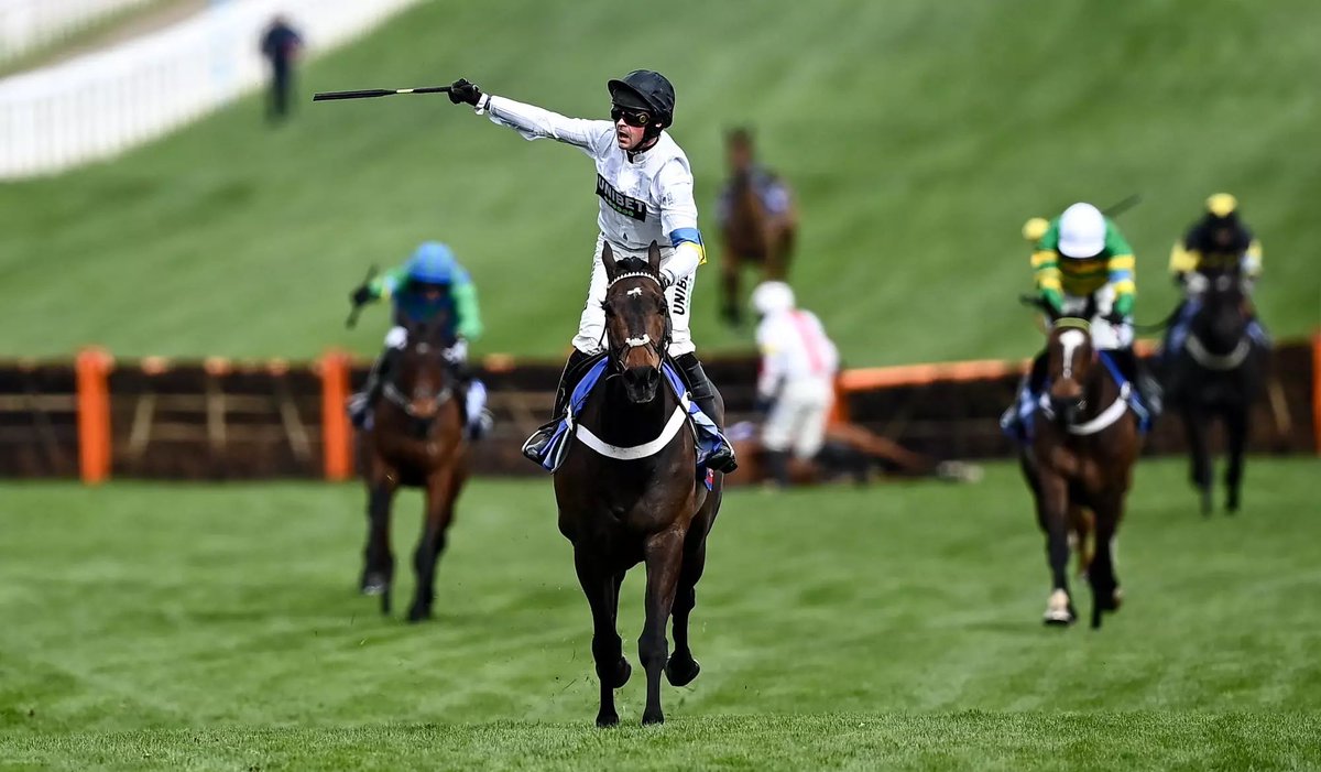 RacingGav tweet media