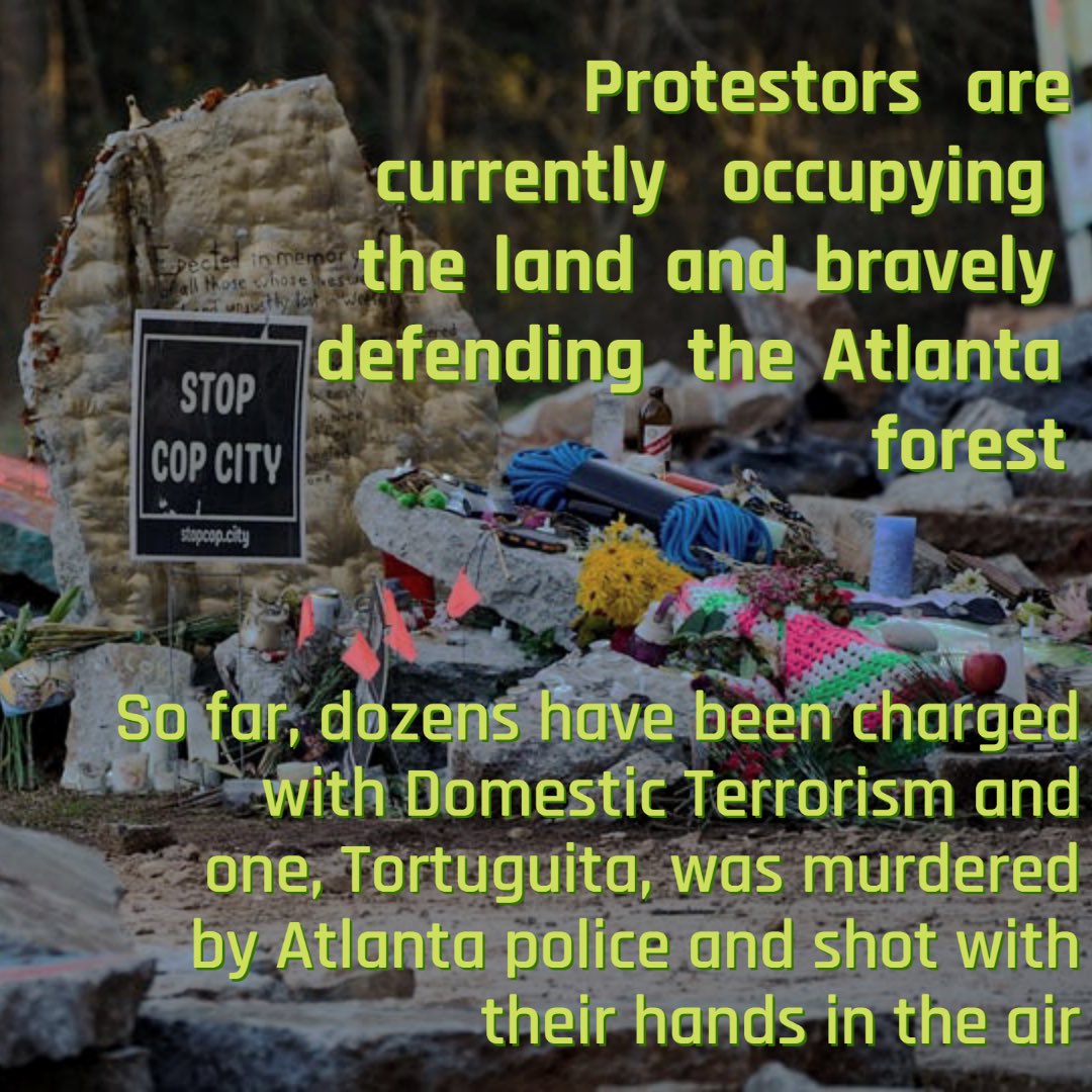 Sheffield Action Group tweet media