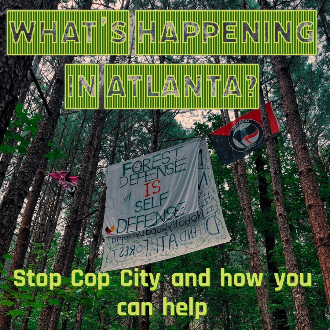 Sheffield Action Group tweet media