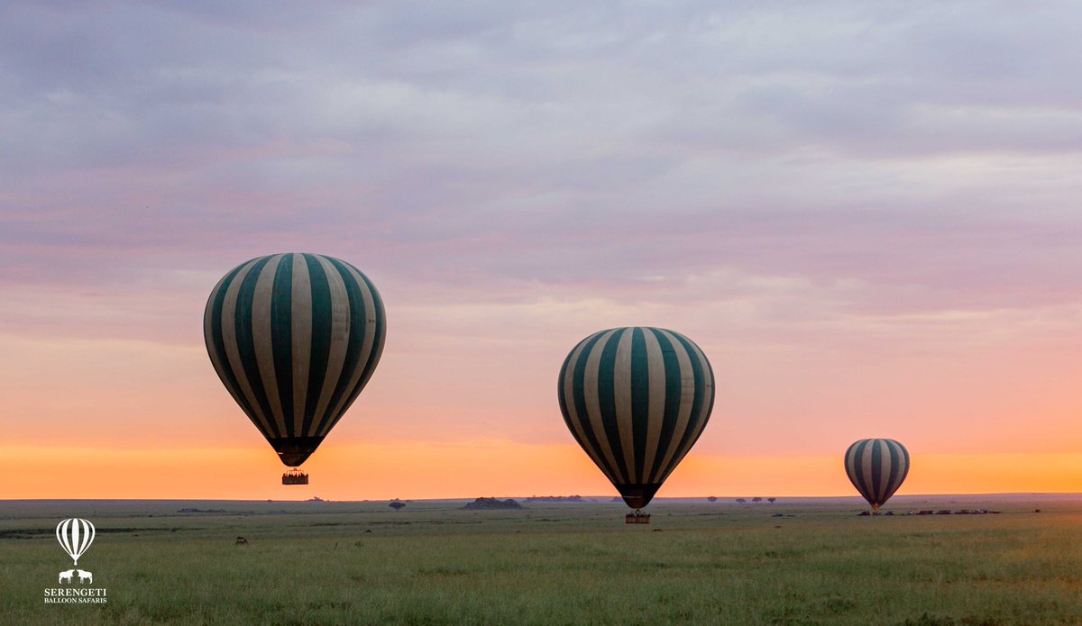Round off your African adventure by witnessing the beauty of Serengeti's wildlife awakening as you fly over the African Savannah.#Tanzania #serengetinationalpark #adventure #safari #travel #kenya #hotairballoon  #balloon #hotairballooning #sunrise #travelafrica #wildlife