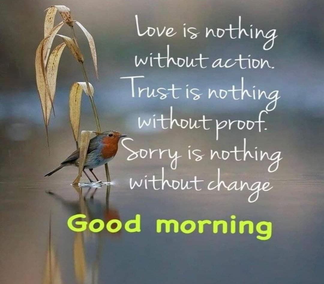 ZeroPrawn's tweet image. 