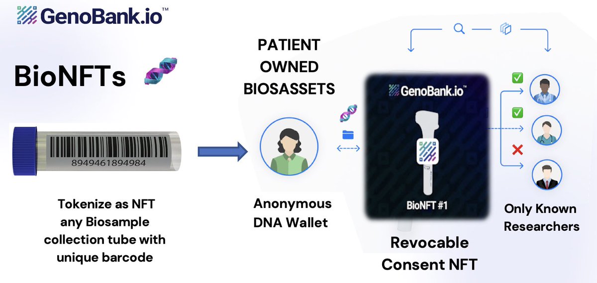 duribeb's tweet image. BioNFTs 🧬 = Decentralized #Governance for #Biosamples &amp;amp; #BioData.