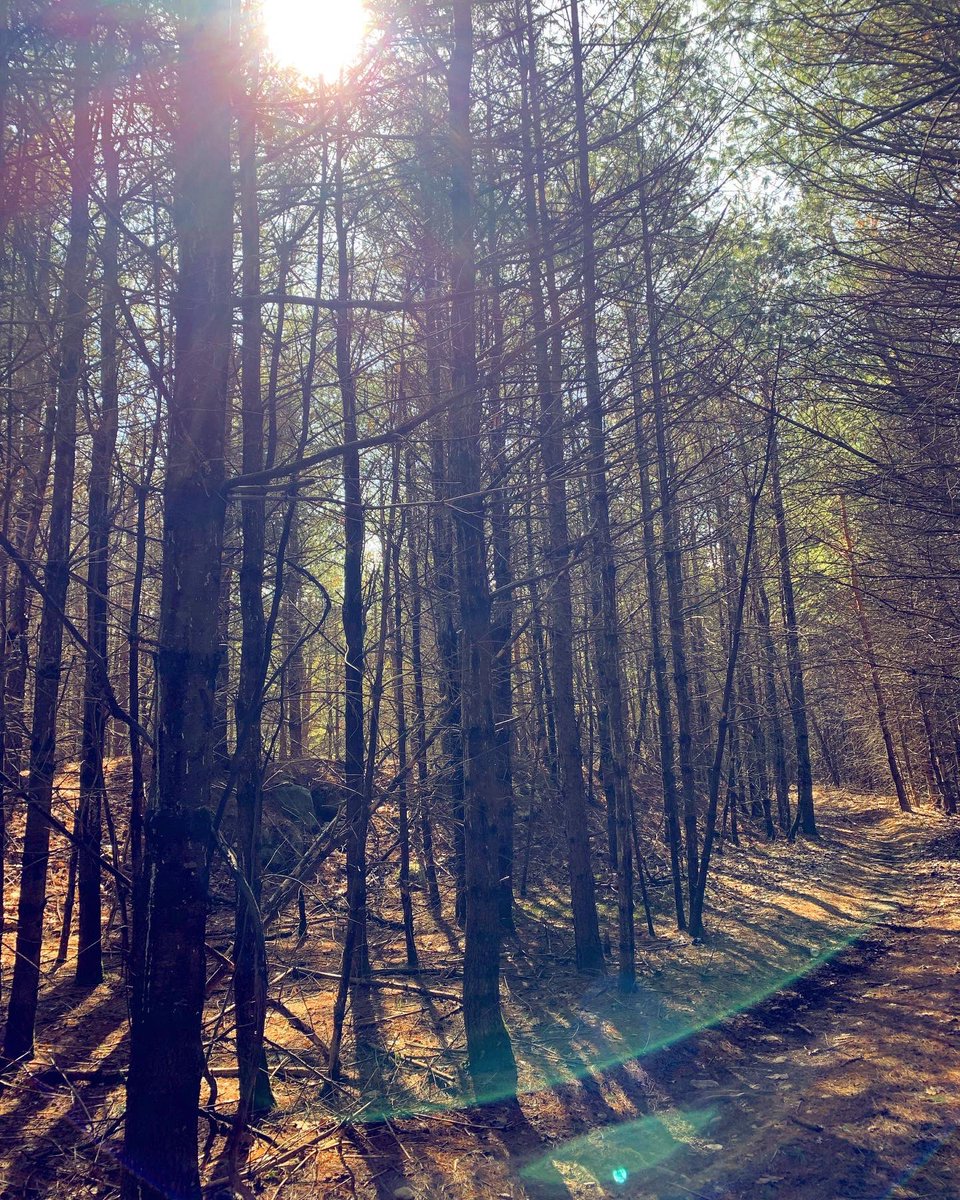 Megos777's tweet image. Sunday funday! #nature #takepictures