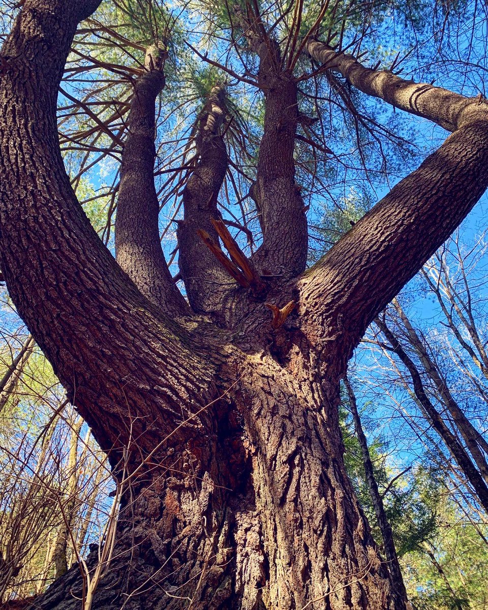 Megos777's tweet image. Sunday funday! #nature #takepictures