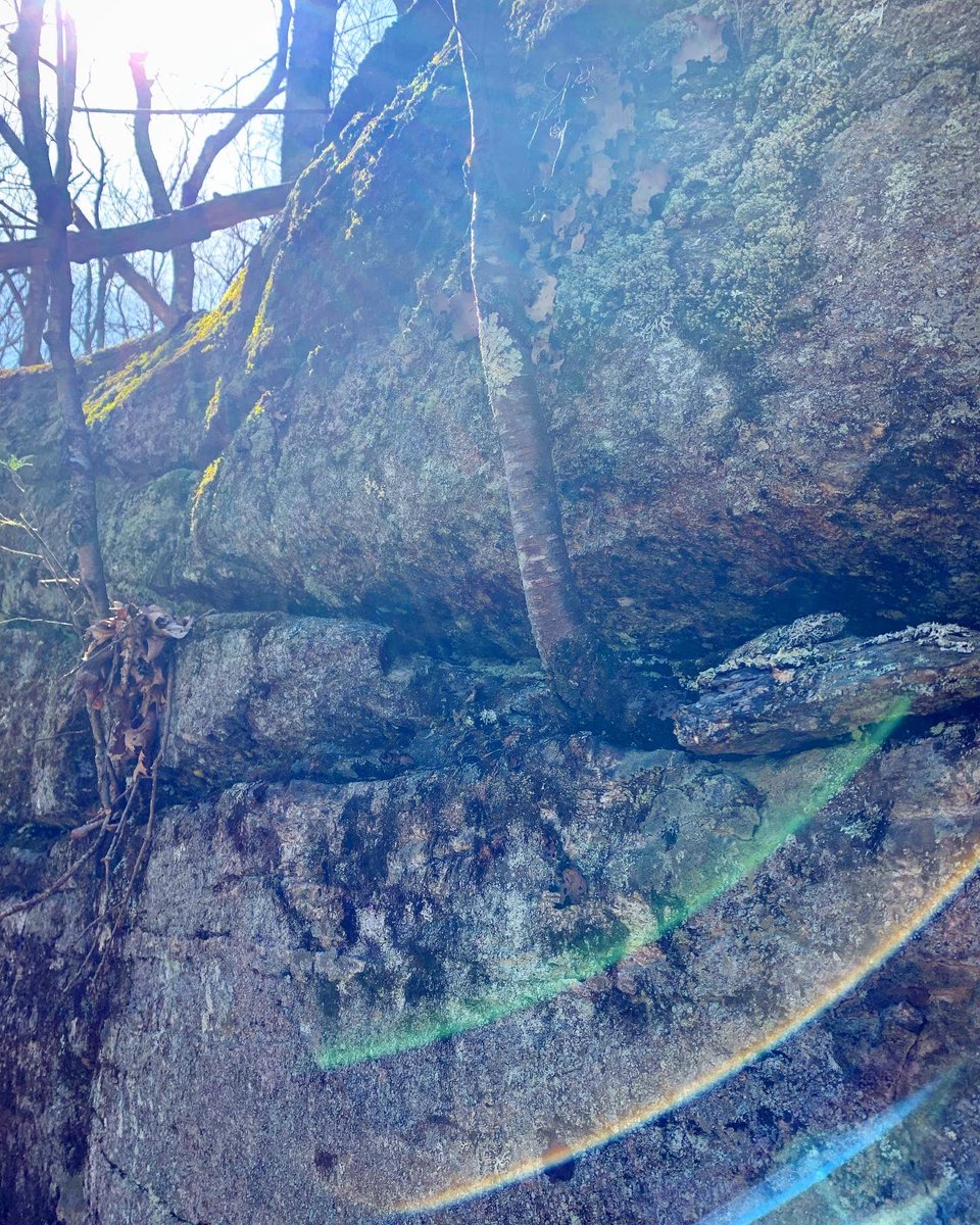 Megos777's tweet image. Sunday funday! #nature #takepictures