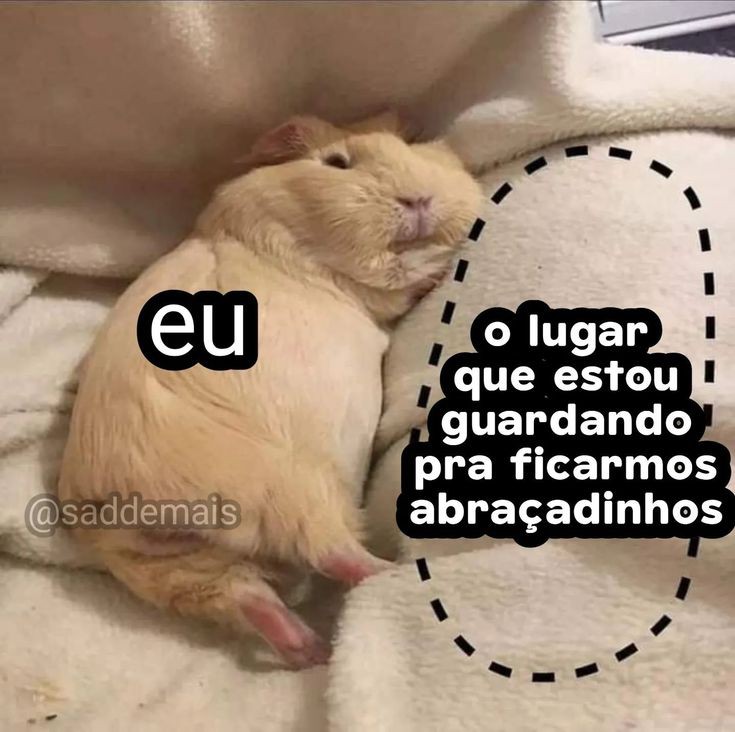 Memes para marcar ele(a) (@memeparaoarroba) on Twitter photo 