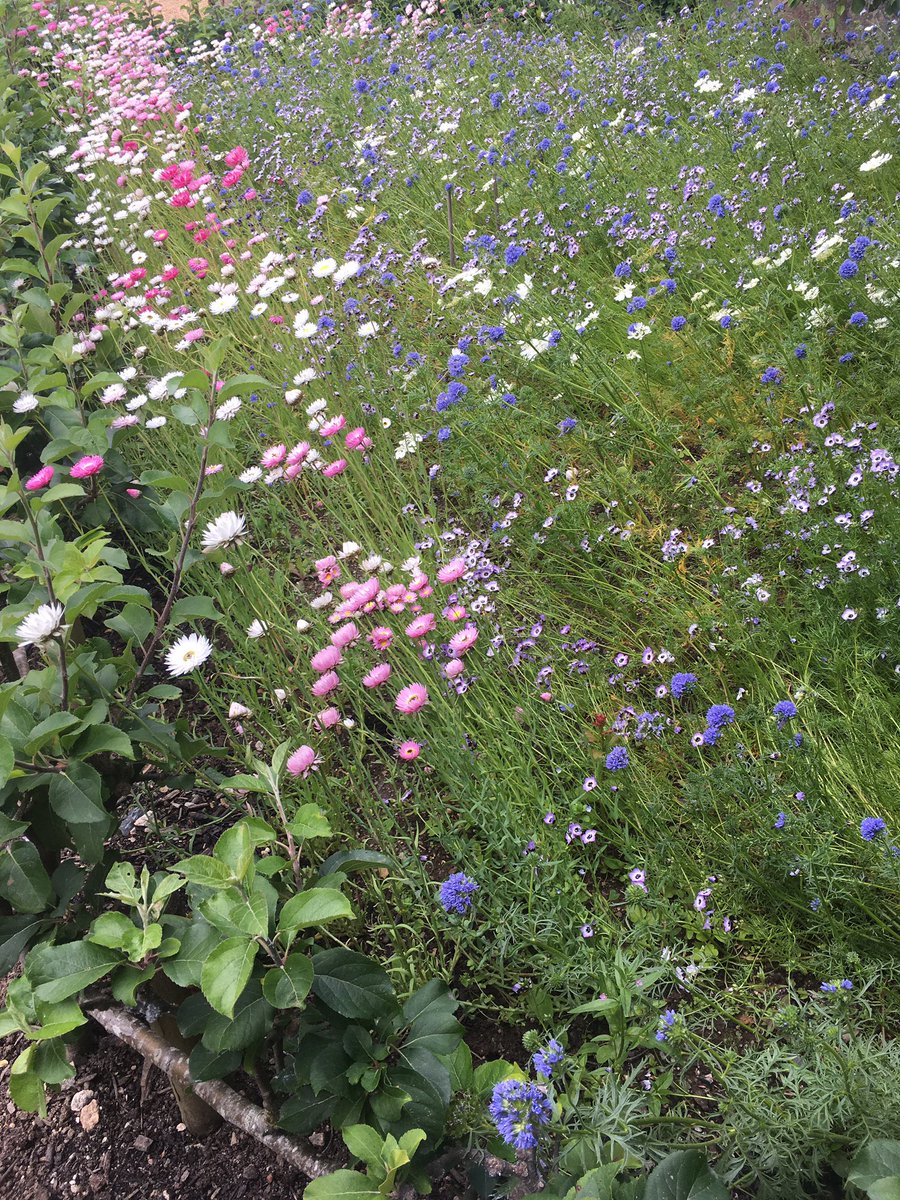 KitHabianic's tweet photo. Love how Wild Isles grabs and flips a proud-to-be-British narrative that’s so now. 
It uses that language to hit home the wonders of nature of these isles and why it matters to also give sanctuary to nature’s migrants
And spells out bluntly how much we have to lose
🪲🦊🐳🕷🌳 https://t.co/gcp8tRFIo2
