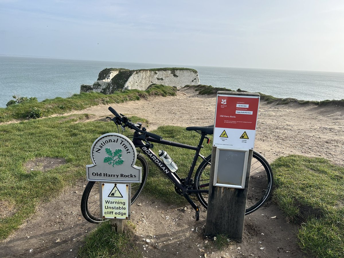 Sian Phillips tweet media