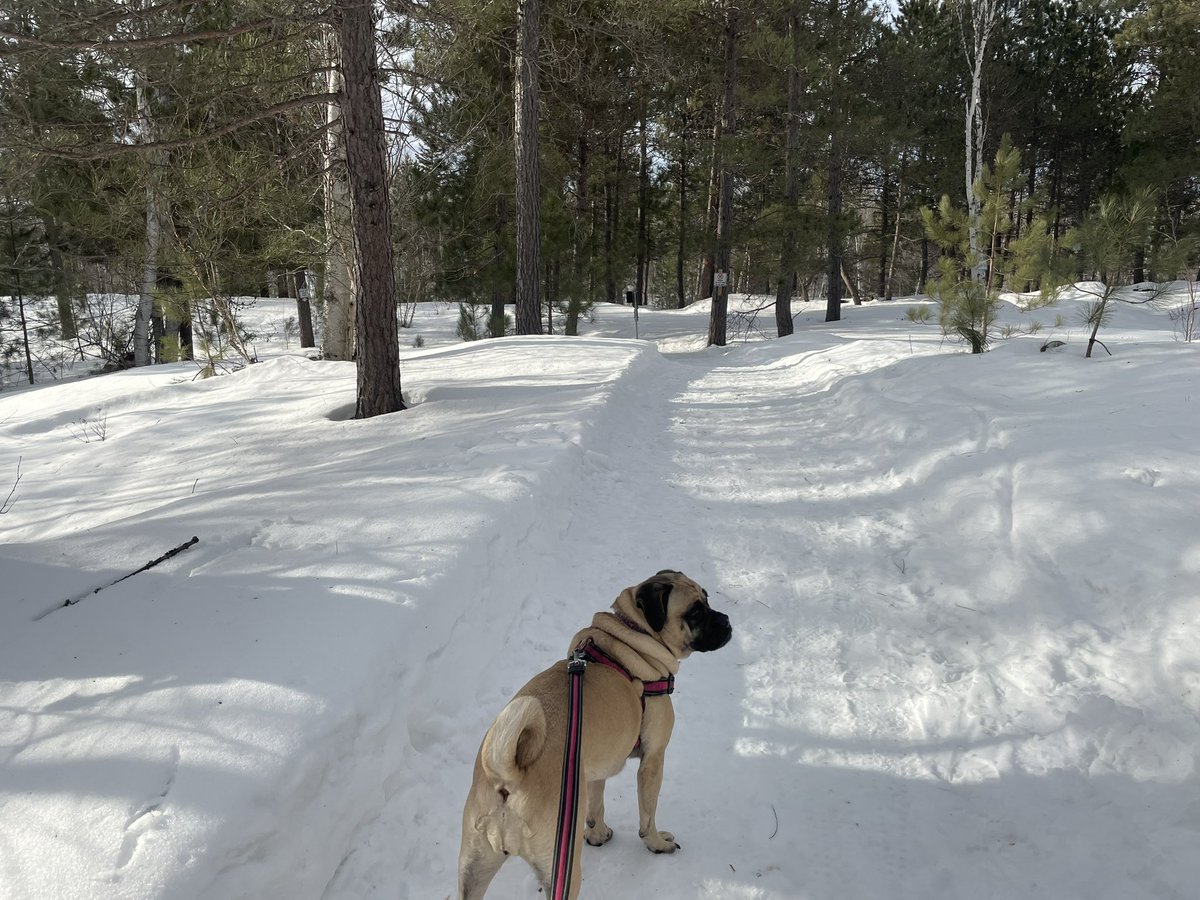 mrs levecque (she/her) tweet media