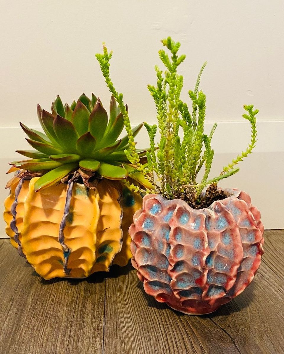 CedarCityArts's tweet image. Russell Wrankle is offering ceramics classes.  Next class is April 7 at 7pm. You can make your own planter with the one and only Breonna Perry, with me as her assistant.
 My studio is small so a limit of 6 at a time. Contact at russellwrankle@gmail.com #ceramicsclass